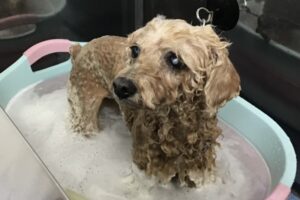 11月のお友達☆
