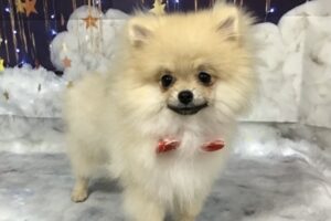 11月のお友達☆