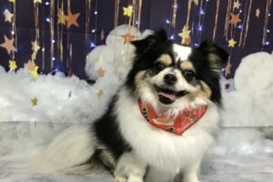 11月のお友達☆