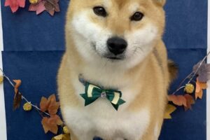 11月のお友達☆
