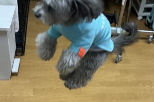 お泊り中☆